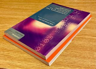 Lote 2 libros sobre Management / 2 euros el lote