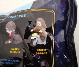 Personaggio Hagrid Harry Potter 04/04/2026 EURO Sp