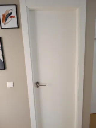 Puerta interior blanca tengo 5 - 40€ cada una