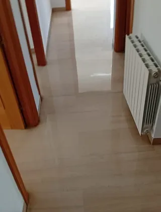 Se ofrece Pulidor y abrillantador profesional .