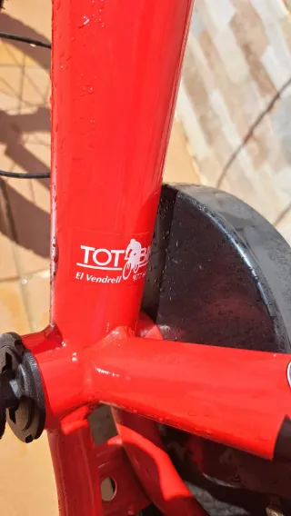 ESPECTACULAR Bicicleta Infantil JL Twenti 3-7 años