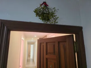 Puerta de entrada de madera