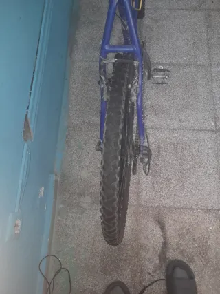 Bicicleta BH Sierra MTB Profesional