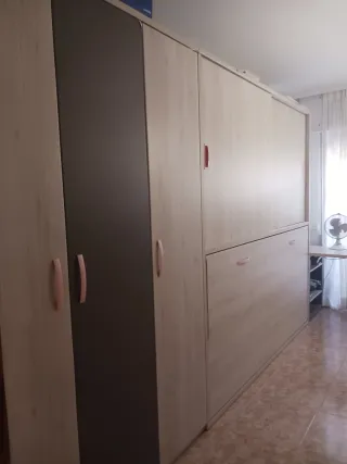 Dormitorio con cama abatible