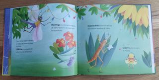 Libro " Grillo el violinista"