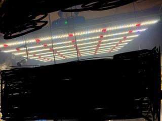 Lámpara LED 600W - 13 unidades