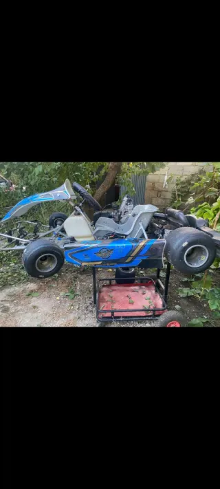 Kart de competición azul