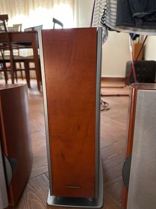 Altavoces Panasonic Marrones y Plateados