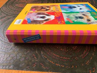 Quaderno ad anelli Blasetti anni 90/2000