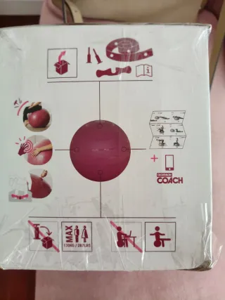 Pelota Gym Ball Fitness Yoga Embarazo Pilates