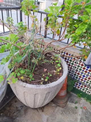 Macetón de hormigón