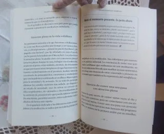Libro Descubrir el Mindfulness