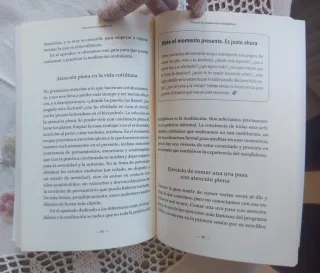 Libro Descubrir el Mindfulness