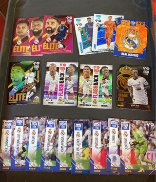 Cromos Real Madrid Panini MGH