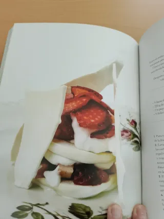 Libro de maestro de luis irizar