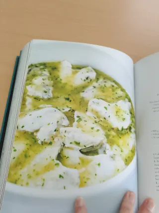 Libro de maestro de luis irizar