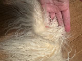 Cuello de pelo de oveja beige