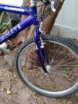 Bicicleta Grisley Mega 10 Aluminio