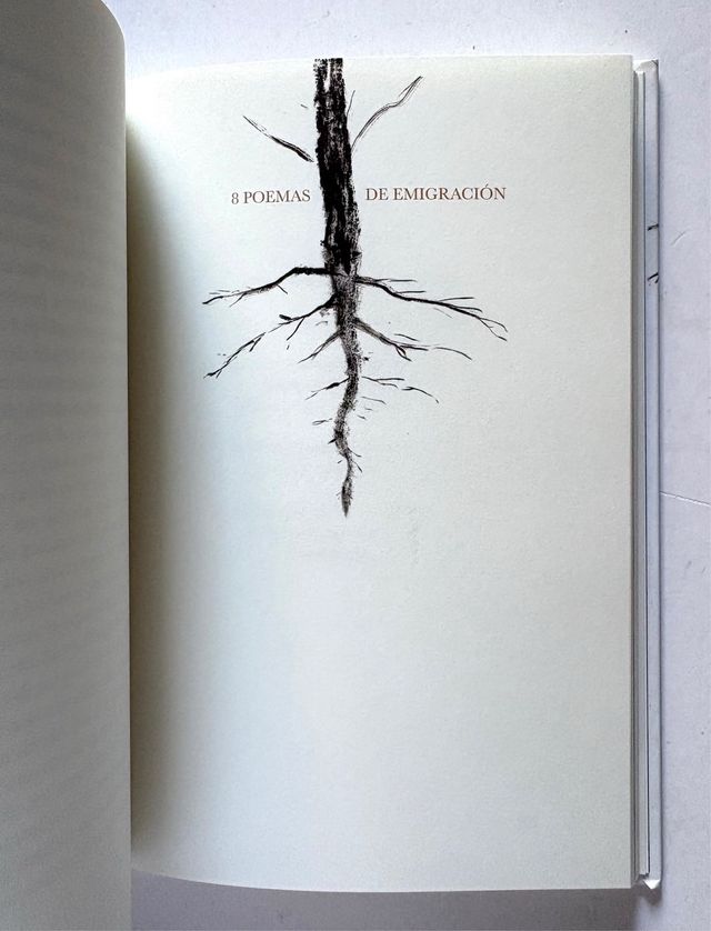 John Berger Y NUESTROS ROSTROS, MI VIDA, BREVES...