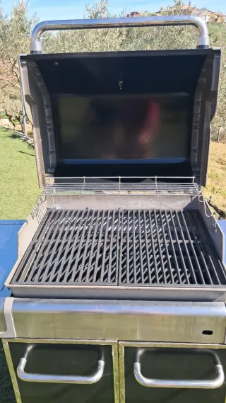 Barbacoa Weber Genesis Gas Negra/Plata