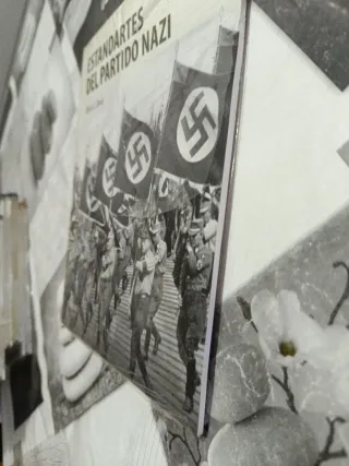 Libro Fascículo, Estandartes del partido Nazi