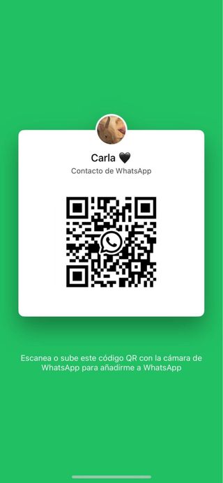 Paseador de perros