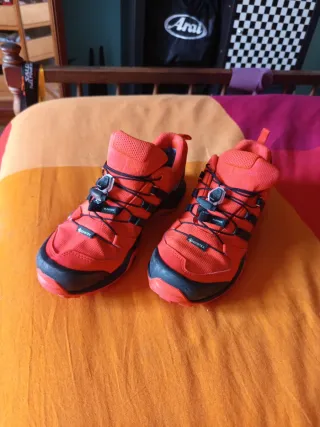 Zapatillas Adidas Terrex Gore-Tex Senderismo