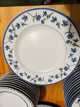 Prestigioso servizio piatti porcellana