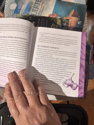 Guía de la buena bruja: Una wiccapedia moderna ...