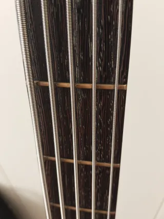 Warwick Thumb Bolt-on 5 Corde 98