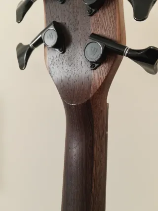 Warwick Thumb Bolt-on 5 Corde 98