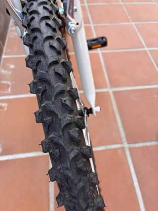 Bicicleta Avigo Stylin Niña