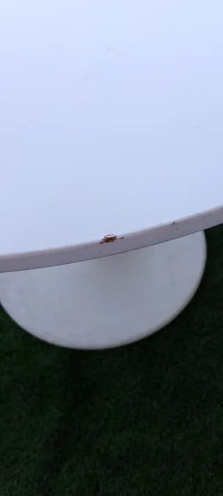 Mesa redonda Ikea  blanca