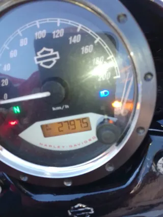 Harley-Davidson Street Rod 750 (A2)
