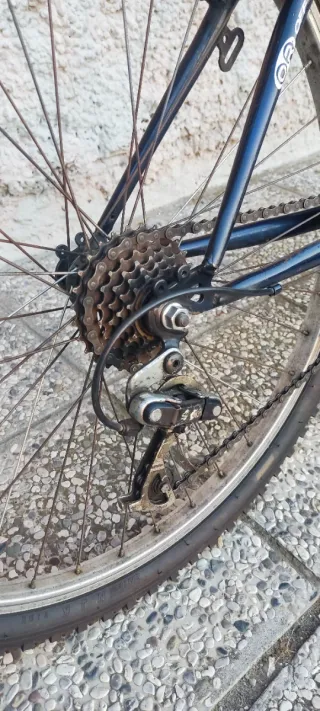 Mountain Bike Ruota 26