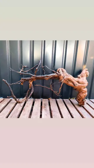 Raíz/tronco Decoración acuario