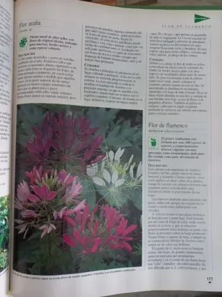 Libro de oro de las plantas y los jardines