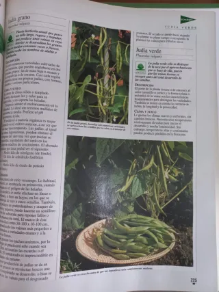 Libro de oro de las plantas y los jardines