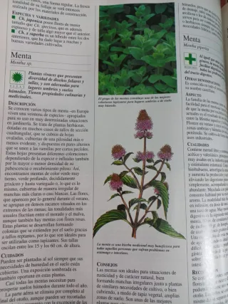 Libro de oro de las plantas y los jardines