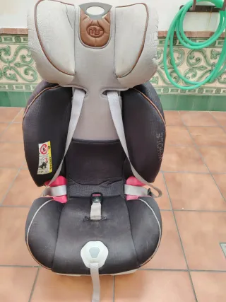 Sillita coche niño