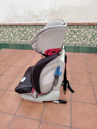 Sillita coche niño