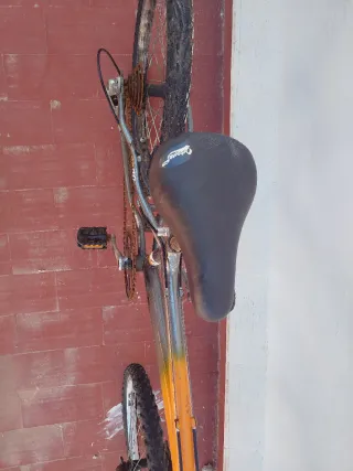 Bicicleta Montaña Infantil Naranja