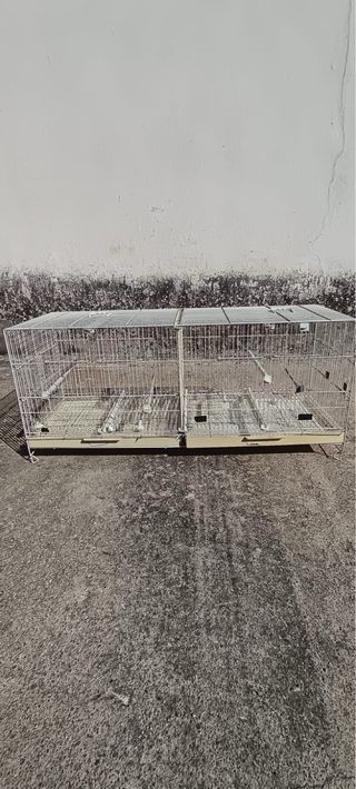 Jaula de cría Pedros 100cm