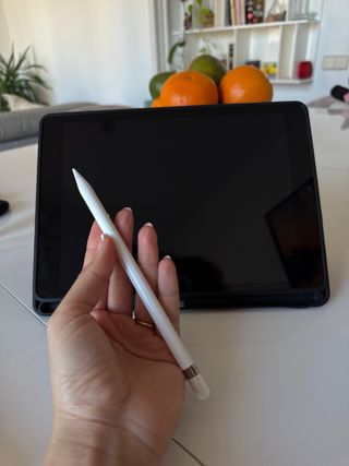 iPad 9ª Gen 256GB + Apple Pencil + Funda