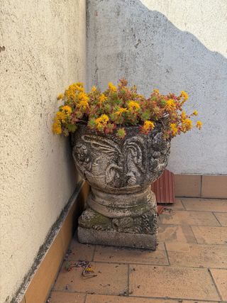 Macetas antiguas de piedra tallada