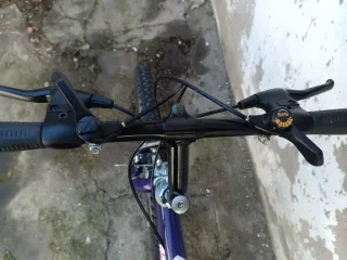 Bicicleta Montaña Morada y Verde