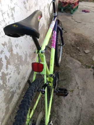 Bicicleta Montaña Morada y Verde