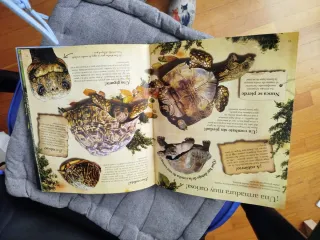 Enciclopedia de animales larrousse