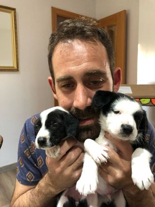 Cuidado perros