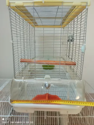 Jaula Visión L 11 Beige/Transparente